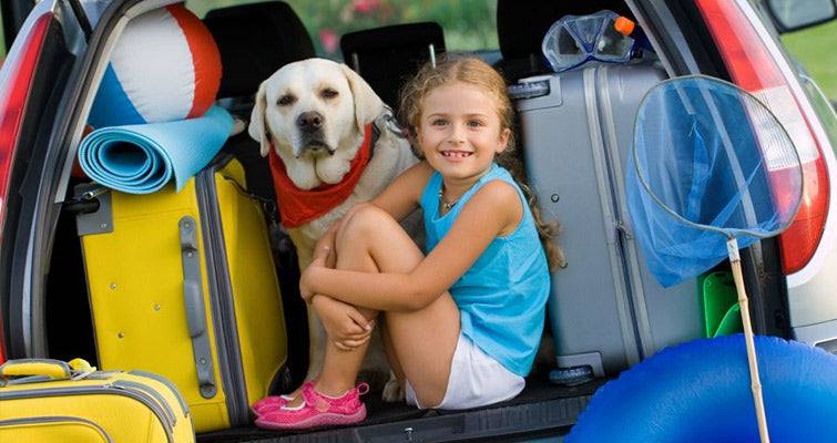 Understanding Your Pets And Keeping Them Happy During Drives