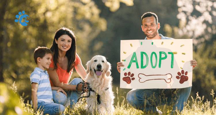 6 Things Everyone Should Know Before Adopting a Dog