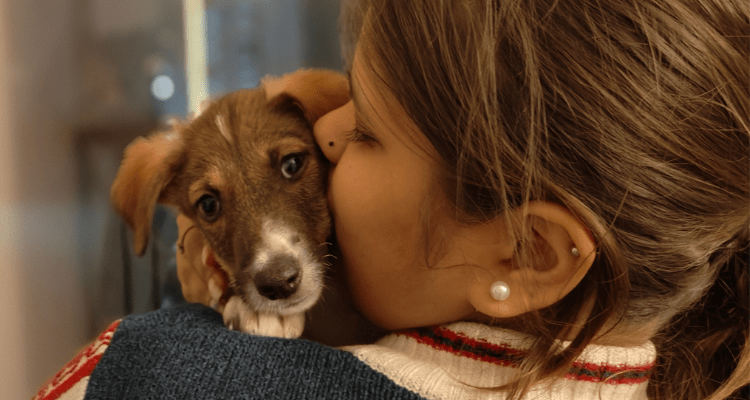 From Shelter to Home: The Complete Guide to Adopting a Dog