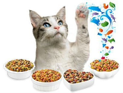 How to Select the Best Cat Food in Less Than Five Minutes?