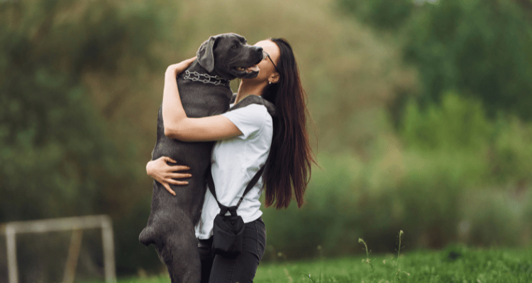 Emotional Wellness: 7 Best Dog Breeds for Therapy