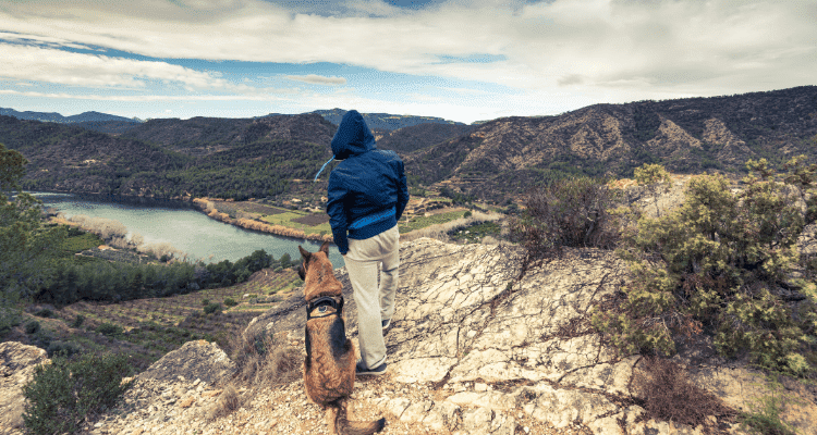 Best Hiking Companions: 7 Ideal Dog Breeds