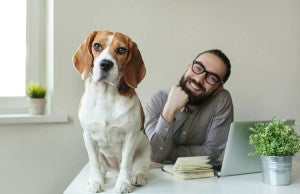 Harper Collins India Approves Pawternity Leave For Employees.