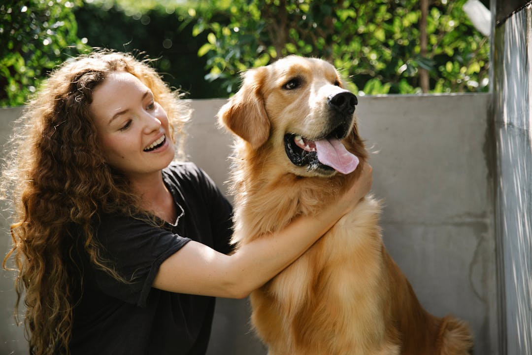 Conditioners for Dogs
