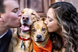 Top Dating Websites Exclusively For Pet Owners