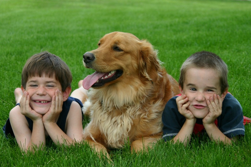 5 Things Only Kids Understand When They Are With Dogs!