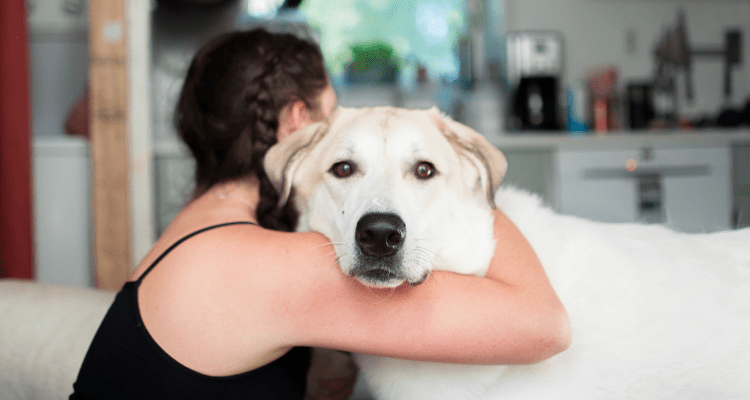 8 Best Breeds for Cuddling: Dogs That Love to Snuggle