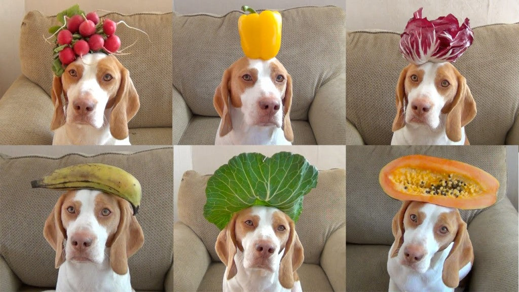 5 Fruits That Are Bad For Dogs.