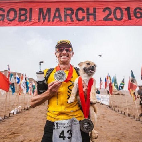 Marathon Runner Adopts Dog That Followed Him For Over 100 Miles | Gobi March 2016