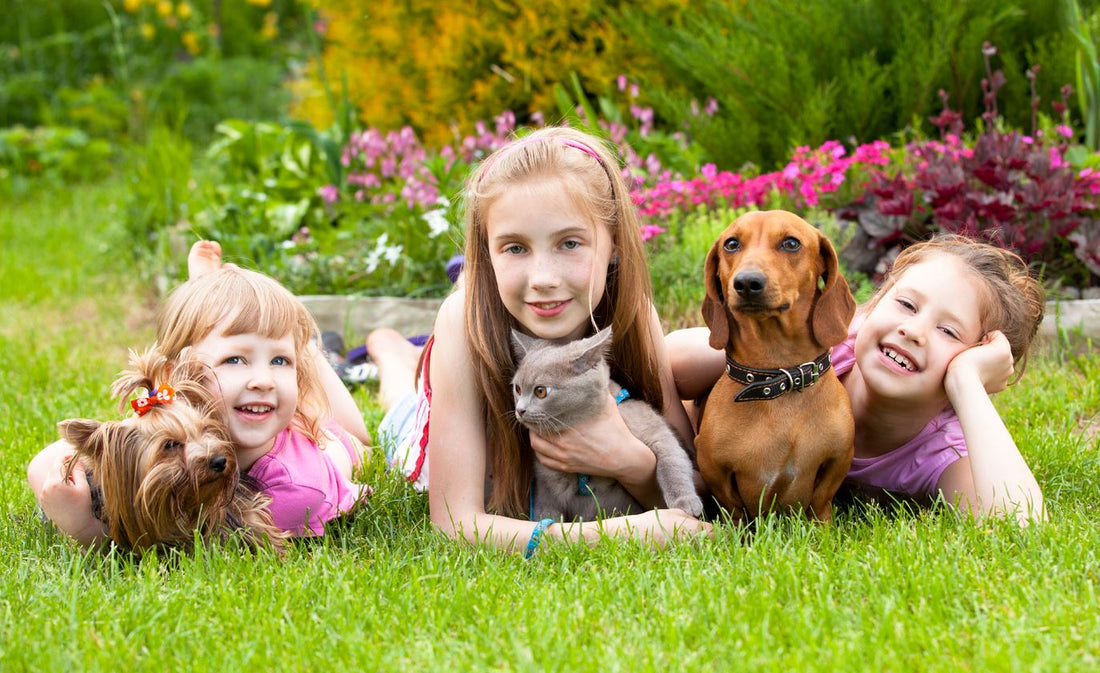 5 Reasons Why Growing With Pets Is A Good Thing For Your Children