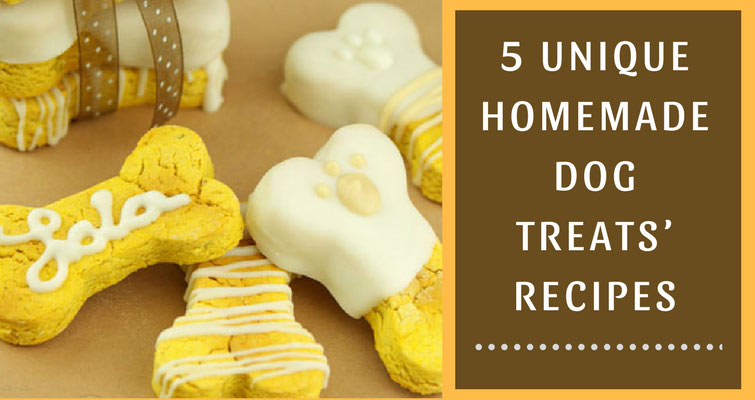 5 Unique Homemade Dog Treats’ Recipes