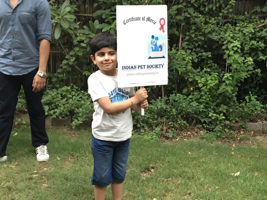 Pet Therapy work shop in Delhi for kids | Indian Pet Society