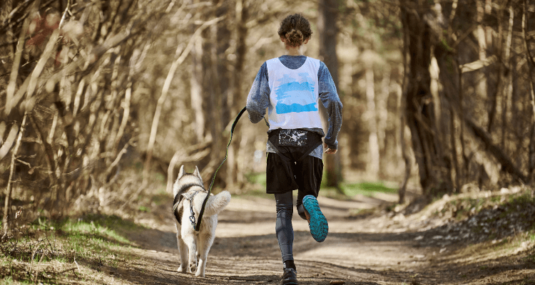 God Running Dogs 7 Dog Breeds Perfect for Running Enthusiasts - Blog – Petsworld