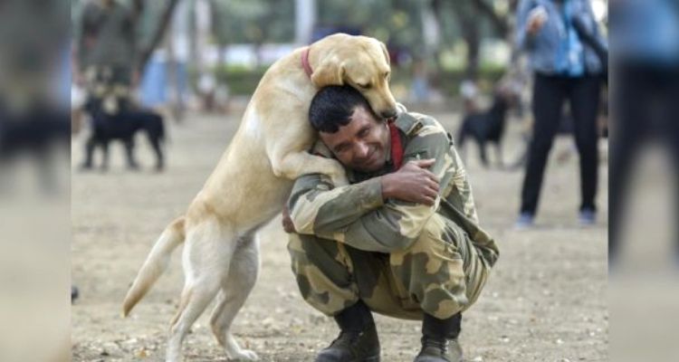 Petsworld Proudly Salutes The Indian Army Dogs (K9 Squad)