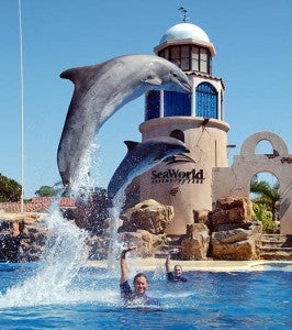 Trip Advisor Boycotts Vacation Resorts Using Animals For Rides And Entertainment.