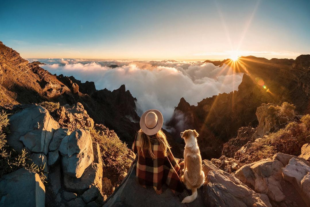Tips for Stress-Free Travel with Your Dog