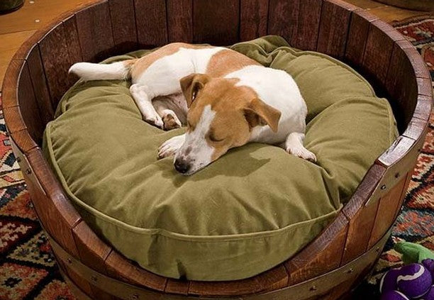 Do You Have the Right Bed For Your Dog?