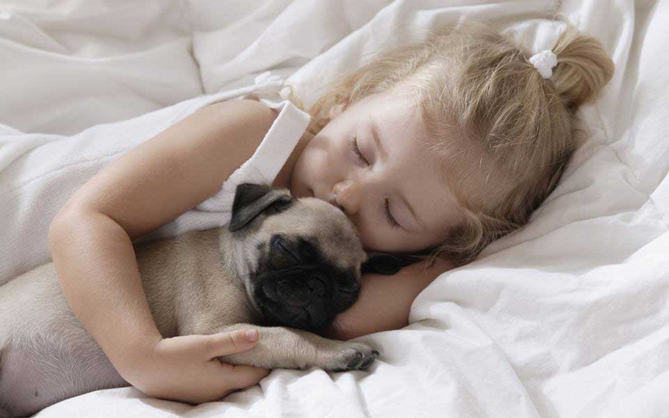 Top Kid Friendly Dog Breeds That Are Easily Available In India