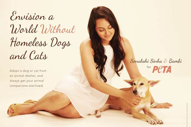 These Miss India 2016  Models Have An Advice For Pet Lovers| Be Wise & Adopt A Stray