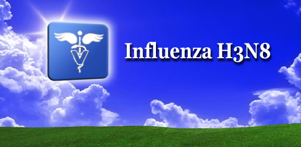 5 Simple Ways to Save Your Dog from Canine Influenza