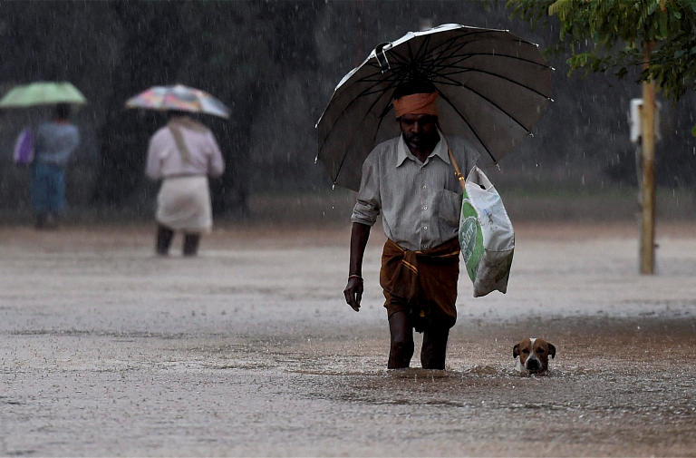 Chennai Stands United For Strays, Pet Dogs in Wake of Heavy Floods