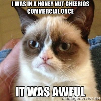 Top 20 Grumpy Cat Quotes – Hilarious and Funny