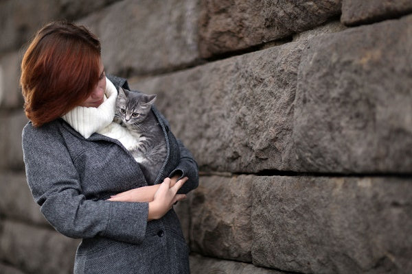 10 Reasons Why Cats Are Our Best Companion