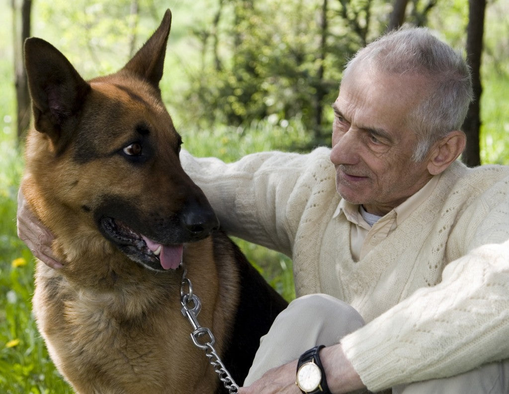 6 Lifetime Confessions That Every Dog Owner Realize