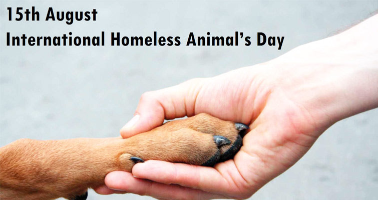 15th August International Homeless Animal’s Day 2015: Shelter The Animals, Shelter The World!