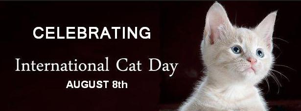 International Cat Day - A Day To Make Your Feline Love Known