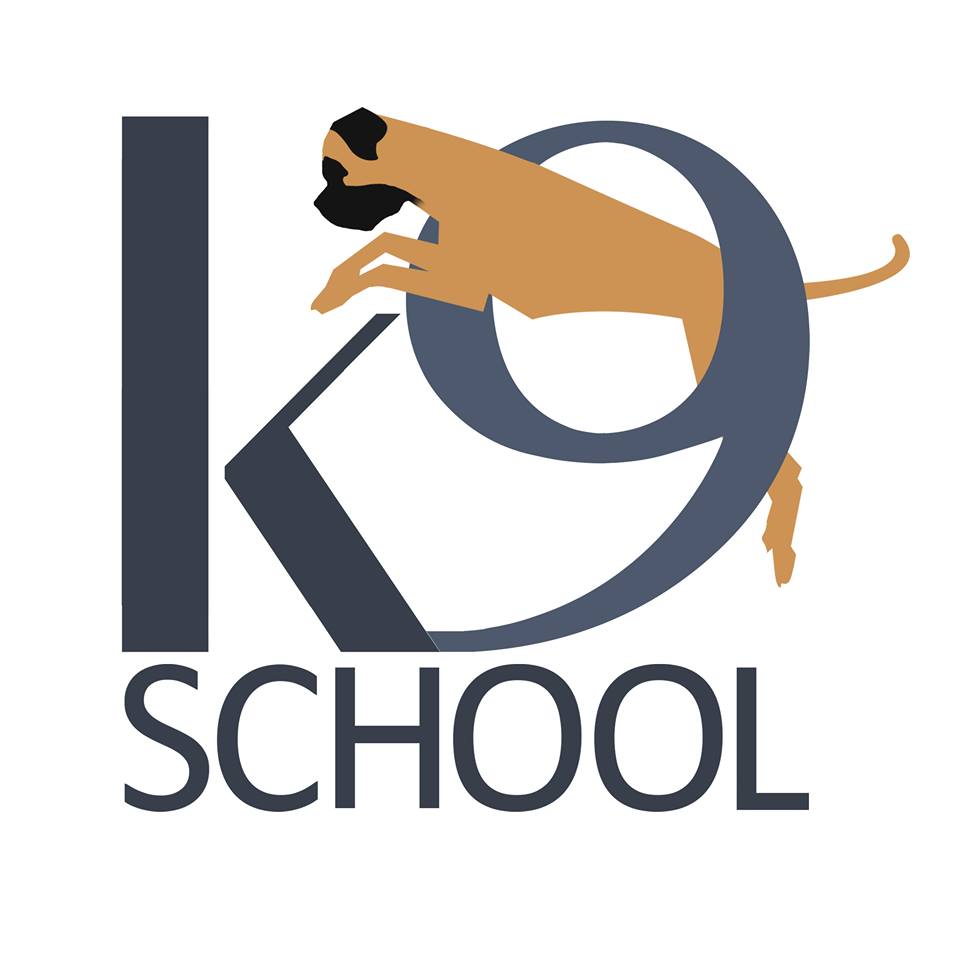 Interview With Mr. Adnan Khan, Owner K9 Dog Training School, Delhi