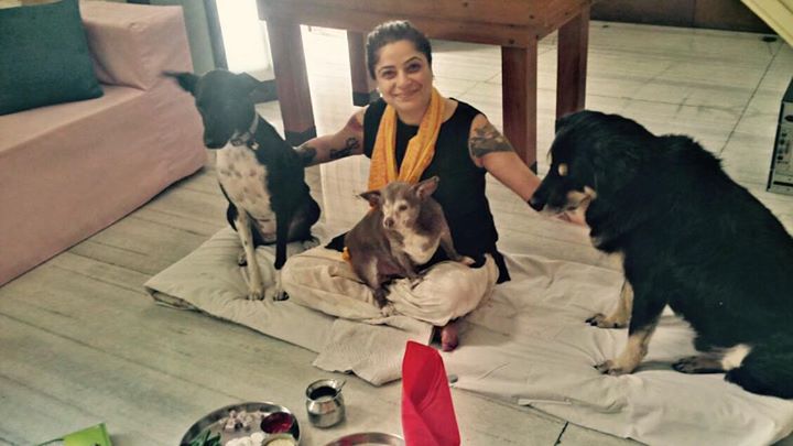 Interview with Nikki Kapoor- Owner of Bark on Gourmet Doggie Bakery and Navarasas Aromatherapy