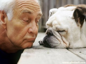 9 Tell Tale Signs Of Aging In Dogs And How To Combat Them ?