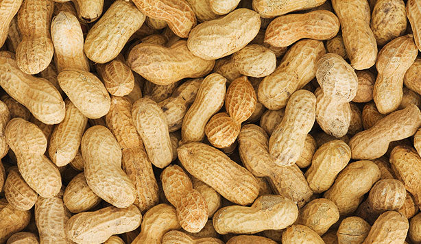 Are Peanuts Safe for Dogs?