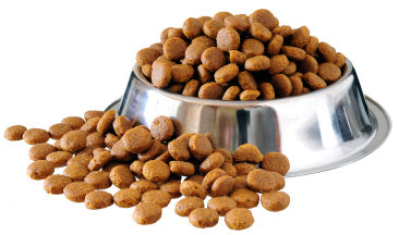 How to Switch Your Pet Food Safely?