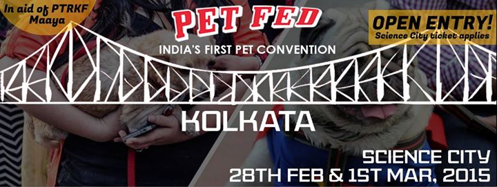 Enjoy Pet Themed Cupcake Baking Competition at PetFed