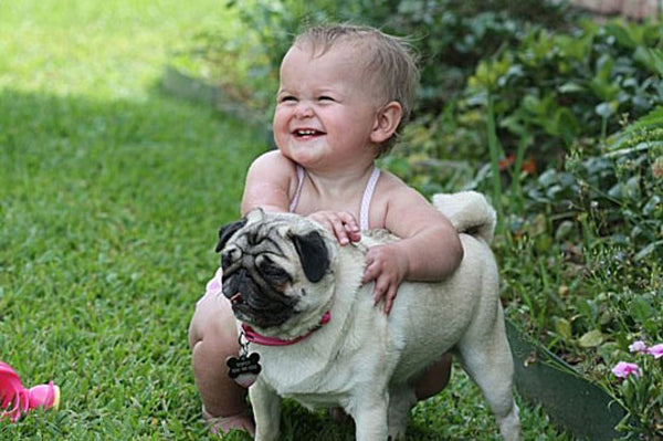 Pug Is My Best Friend – Kids and Pugs Make Good Friends