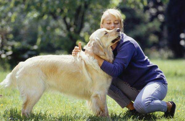 Weird Dog Facts: Is Your Dog  So Freaky That It Doesn't Like To Be Hugged?