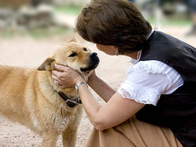 How to Improve Your Bond With Your Pet?