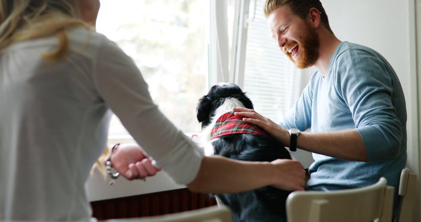 How Does Having A Pet Help You Relieve Your Stress Problems?