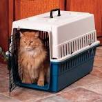 Cat Fibre Crates