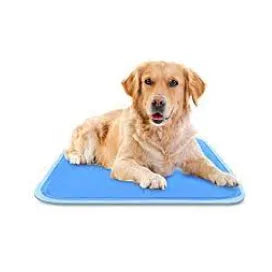 Dog Mats