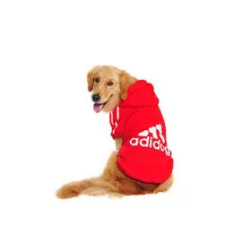 Special Occasion Wear For Dogs