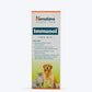 Himalaya Immunol Supplement For Dogs and Cats 100 ml