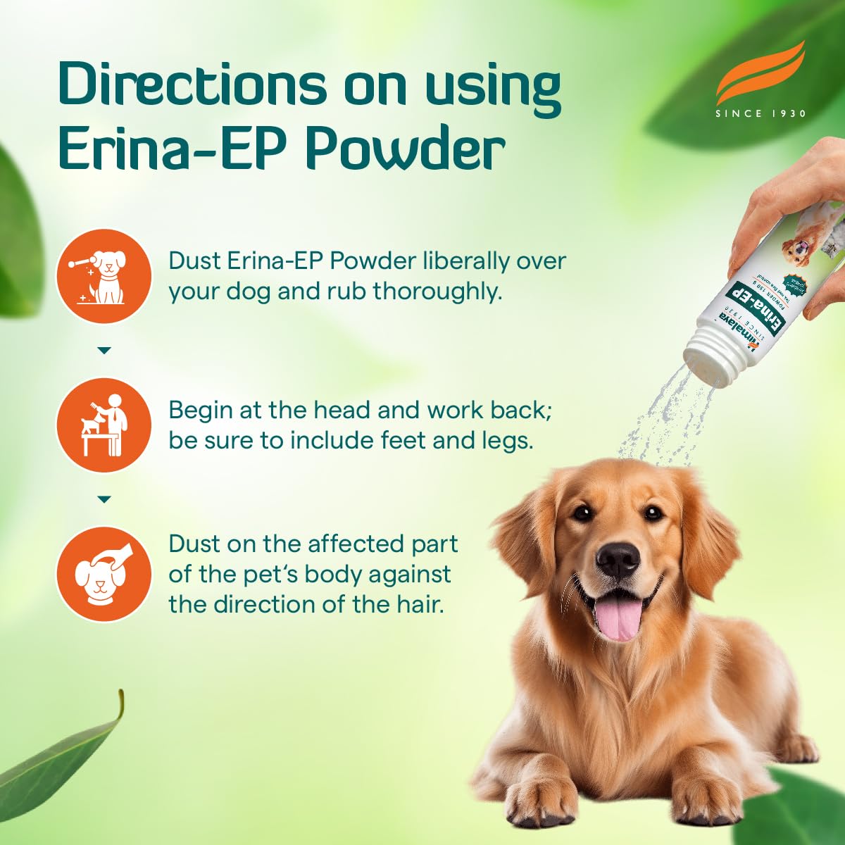 Himalaya Erina Ep Powder 150 Gm