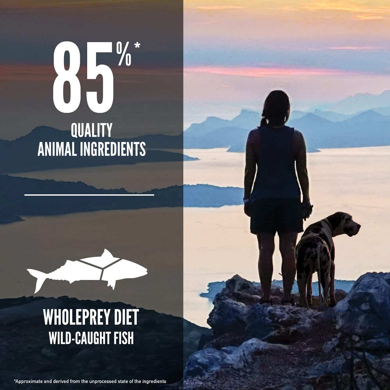 Orijen Six Fish Dog Food