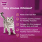 Whiskas Tuna in Jelly (1+ Years) Wet Food For Adult Cat 80 GM