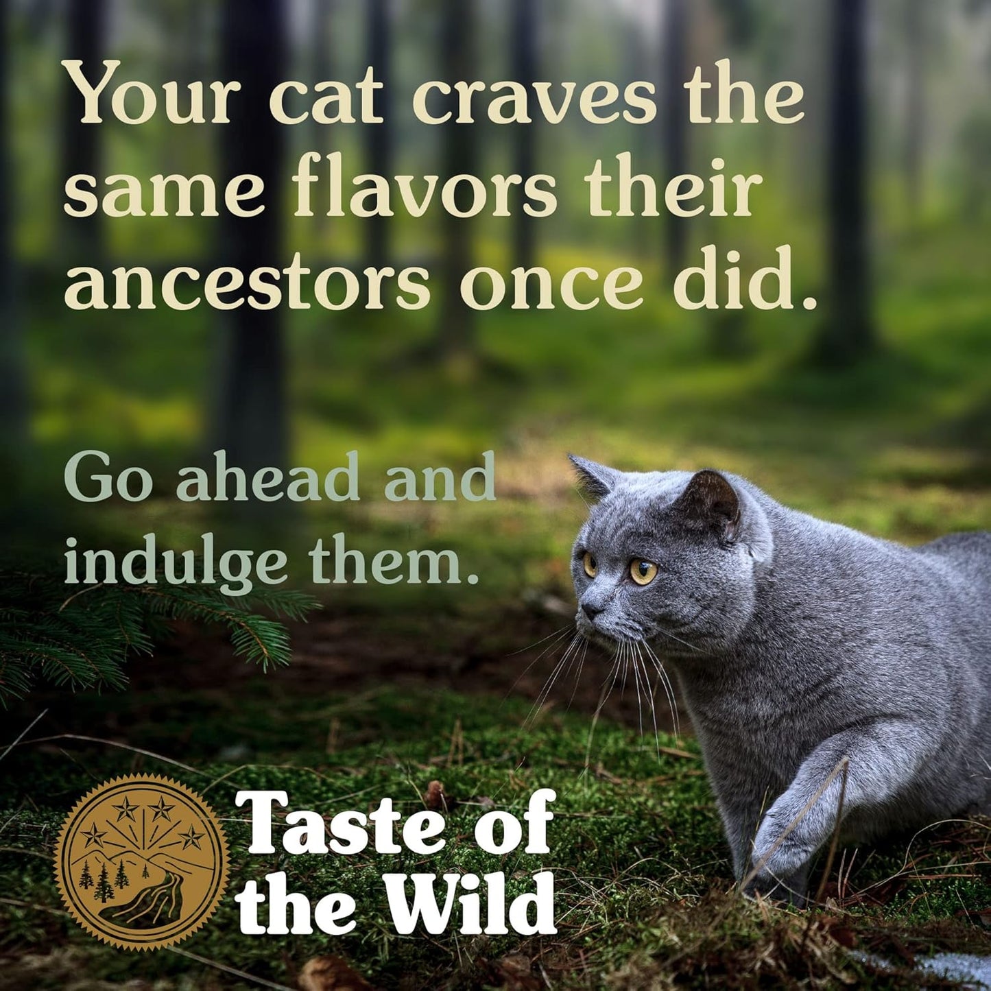 Taste Of The Wild Canyon River Feline Trout & Smoked Salmon Dry Cat Food