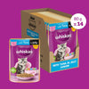 Whiskas Tuna in Jelly Kitten Wet Cat Food