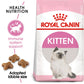 Royal Canin Kitten 36 Dry Cat Food